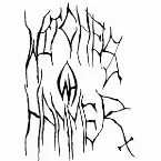 Pochette Damn Fuckin' Rights