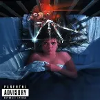 Pochette Directors Cut