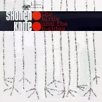 Pochette The Birds & the B‐Sides