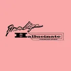 Pochette Hallucinate (Paul Woolford remix) (extended)