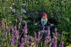 Pochette We're the Lively Toys of Transhuman Gnomes