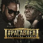 Pochette Palabrea (remix)