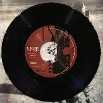 Pochette Gettin' Down on the Mountain