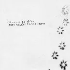 Pochette Rare Tracks in the Snow