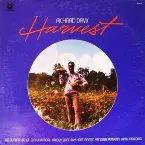 Pochette Harvest