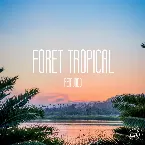 Pochette Foret Tropical