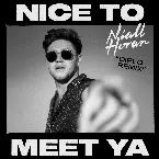 Pochette Nice to Meet Ya (Diplo remix)