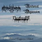 Pochette Dismal Empyrean Solitude