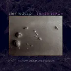 Pochette Silver Beach