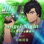 Pochette Angel Night 〜天使のいる場所〜
