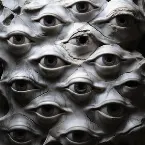 Pochette Voices in My Head