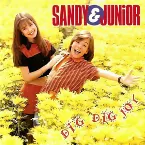 Pochette Dig Dig Joy