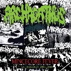 Pochette Mincecore Fever (7" Anthology 2005-2010)