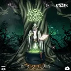 Pochette Druids