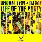 Pochette Life Of The Party Remixes