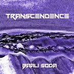 Pochette Transcendence