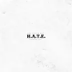 Pochette H.A.T.E.