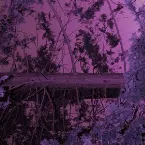 Pochette Steamroom 51