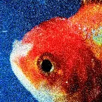 Pochette Big Fish Theory