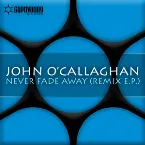Pochette Never Fade Away (Remix E.P.)