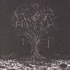 Pochette Farsotstider