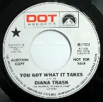 Pochette You Got What It Takes