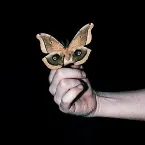 Pochette All Systems Are Lying