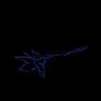 Pochette Walking flower