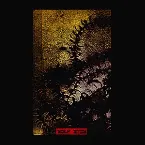 Pochette Shattered