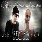 Pochette A quién vamos a engañar (remix)