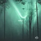 Pochette Halo