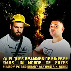 Pochette Quelques Grammes de finesse dans un monde de putes (Binary Asymmetrix Remix)