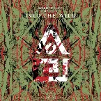 Pochette Into The Wild