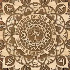 Pochette Masters Of Our Roots