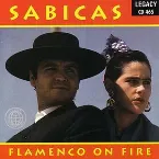 Pochette Flamenco on Fire