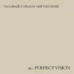 Pochette The Perfect Vision Reworkings