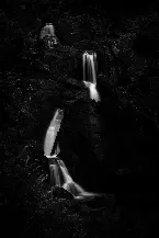 Pochette Worldview Collapses Like a River Dam