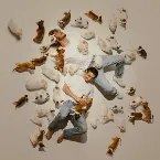 Pochette Baby Gravy 3