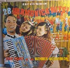 Pochette 28 harmonica hits