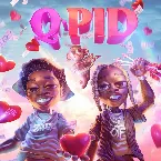 Pochette Q‐Pid