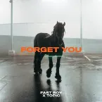 Pochette Forget You