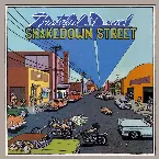 Pochette Shakedown Street