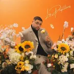 Pochette Les Papillons