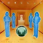Pochette Look Into the Future
