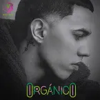 Pochette Orgánico