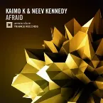 Pochette Afraid