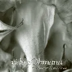 Pochette The River of Appearance