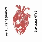 Pochette Semelhantes