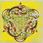 Pochette Labyrinth