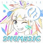 Pochette Chiptek 006